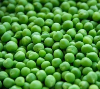 Chalisa Green Peas, Mutter, peas Seed(43 per packet)