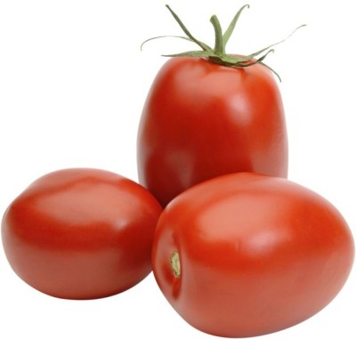 VRAKSHA Salad Tomato,Tamatar Seed(2000 per packet)