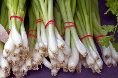 XOLDA Bunching onion Seed(37 per packet)