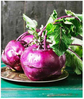 XOLDA knol-knol purple Seed(20 per packet)