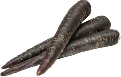 XOLDA Carrot Black Seed(22 per packet)