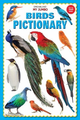 My Jumbo Birds Pictionary(English, Paperback, unknown)