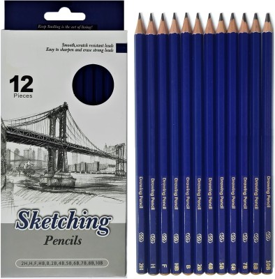 Definite Art 12Pc Professional Drawing/Sketching Graphite Pencil Set; Artist Grade Degree Pencil(Grade - 10B, 8B, 7B, 6B, 5B, 4B, 2B, B, HB, F, H & 2H)