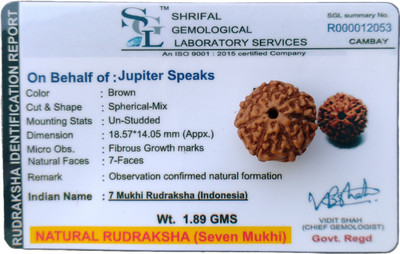 jupiter speaks 7 Mukhi Rudraksha Indonesia 18MM With Lab Certificate Natural Brown Unisex Wood Pendant