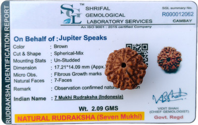 jupiter speaks 7 Mukhi Rudraksha Indonesia 17MM With Lab Certificate Natural Brown Unisex Wood Pendant