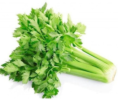 XOLDA Celery Seed(37 per packet)
