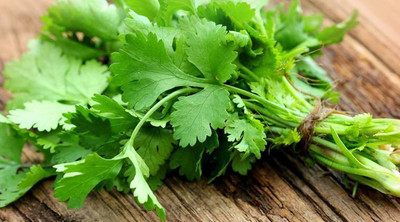 XOLDA Coriander Seed(20 per packet)