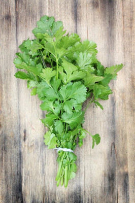 XOLDA Coriander Seed(20 per packet)