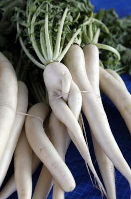 XOLDA Radish Seed(42 per packet)