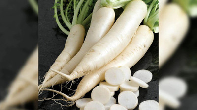 XOLDA Radish Seed(32 per packet)