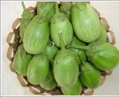 XOLDA Hybrid Brinjal green Round Seed(60 per packet)