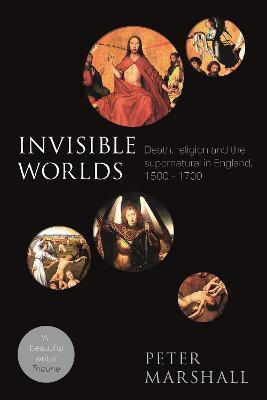 Invisible Worlds(English, Paperback, Marshall Peter Professor)