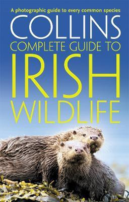 Collins Complete Irish Wildlife(English, Paperback, Sterry Paul)