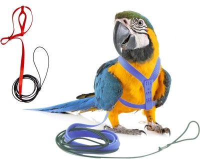 Western Era Bird Harness With Leash, Design for Outdoor Activities for Large Birds/ Parrot Bird Standard Harness(Large, Multicolor)