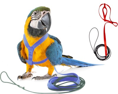 Western Era Bird Harness With Lease Strong, Durable, Elastic Nylon, for Large Birds/ Parrot Bird Standard Harness(Large, Multicolor)