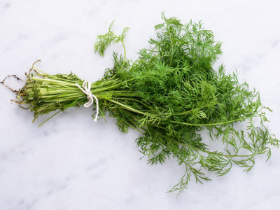 XOLDA Soya Dill Seed(32 per packet)