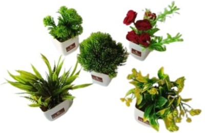 OKASHA Set of 5 Mini Bonsai Wild Artificial Plants with Pot for Home Office Shop Decor Bonsai Wild Artificial Plant  with Pot(12 cm, Multicolor)