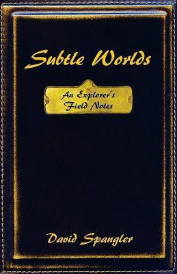 Subtle Worlds(English, Paperback, Spangler David)