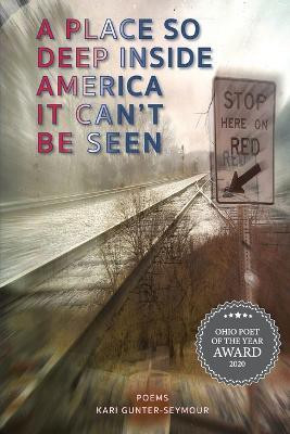 A Place So Deep Inside America It Can't Be Seen(English, Paperback, Gunter-Seymour Kari)