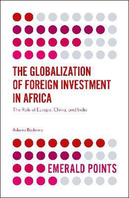 The Globalization of Foreign Investment in Africa(English, Electronic book text, Bodomo Adams Professor)