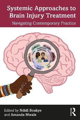 Systemic Approaches to Brain Injury Treatment(English, Paperback, unknown)