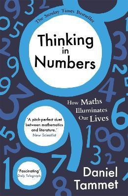 Thinking in Numbers(English, Paperback, Tammet Daniel)