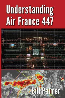 Understanding Air France 447(English, Paperback, Palmer Bill)