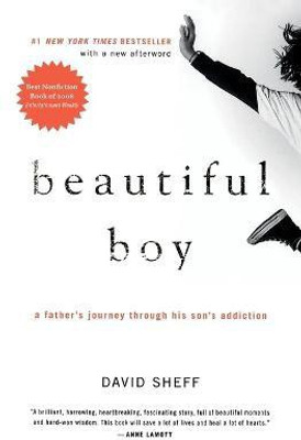 Beautiful Boy(English, Paperback, Sheff David)