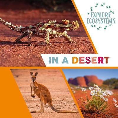 Explore Ecosystems: In a Desert(English, Hardcover, Ridley Sarah)