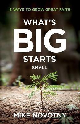 What`s Big Starts Small - 6 Ways to Grow Great Faith(English, Paperback, Novotny Mike)