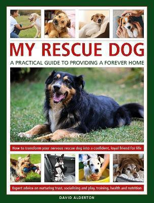My Rescue Dog: A practical guide to providing a forever home(English, Hardcover, Alderton David)