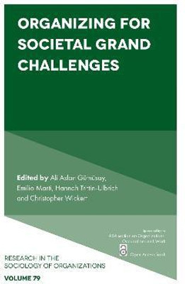 Organizing for Societal Grand Challenges(English, Paperback, unknown)