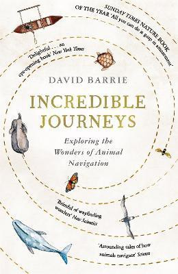 Incredible Journeys(English, Paperback, Barrie David)