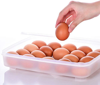 Adhunyk Plastic Egg Container  - 2 dozen(Clear)