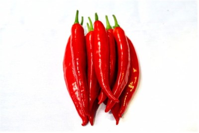 granthi Big Red Chili Seed(2000 per packet)