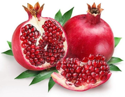 XOLDA Anaar Seed(45 per packet)