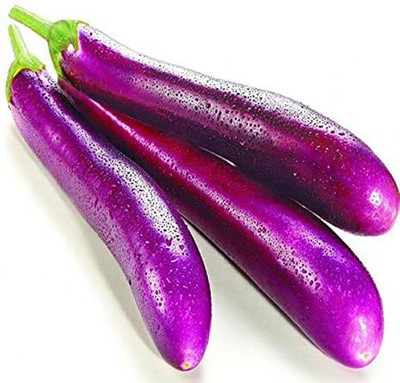 MKR Enterprises Brinjal Seed(650 per packet)