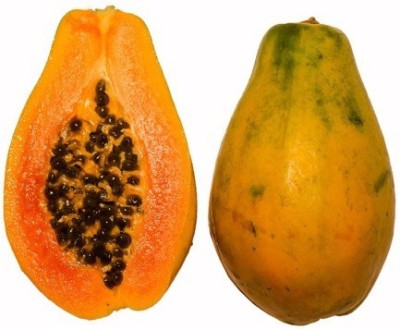 XOLDA Papaya Seed(51 per packet)