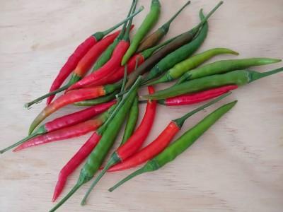 granthi Thai hot pepper seeds Thai chili Seed(300 per packet)