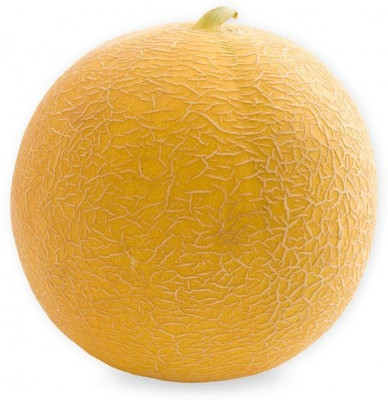 XOLDA Muskmelon Seed(37 per packet)