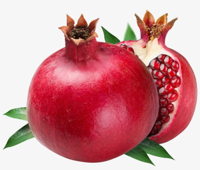 XOLDA Anaar Seed(47 per packet)