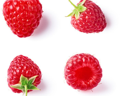 XOLDA Raspberry Seed(20 per packet)