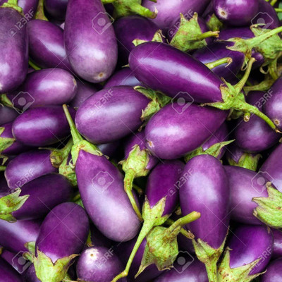 MKR Enterprises Brinjal Seed(150 per packet)