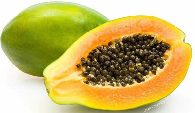 XOLDA Papaya Seed(41 per packet)