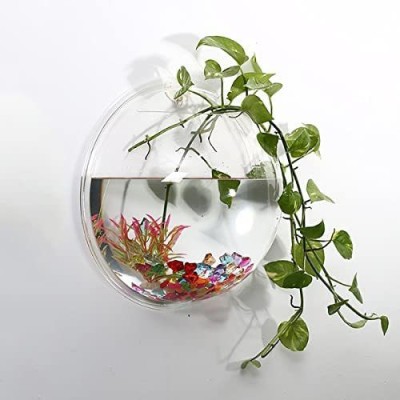 SAVORADE Wall Mount Acrylic Fish Aquarium Bowl Tank for Small Betta Fish & Plants aqua_09 Round Ends Aquarium Tank(3 L)