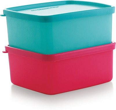 MASTER COOK Polypropylene Fridge Container  - 600 ml(Pack of 2, Blue, Pink)