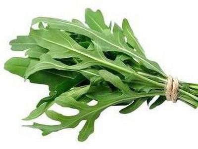 XOLDA Rocket Leaf Seed(20 per packet)