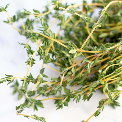 XOLDA Thyme Seed(35 per packet)
