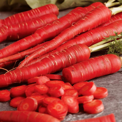 decorehomz Carrot red vegetable seeds 30 to 40 seeds in 1pack Seed(40 per packet)