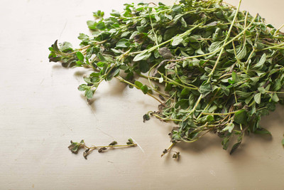 XOLDA Oregano Seed(20 per packet)